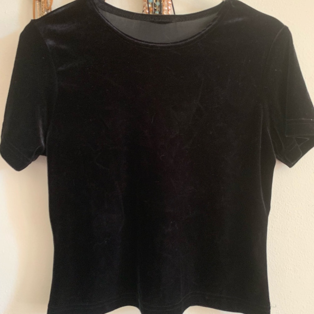 LAST CALL!! Vintage Crushed Velvet Crop Top